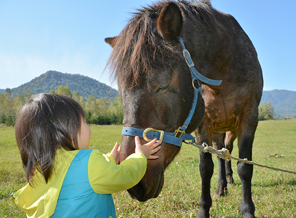 写真：乗馬