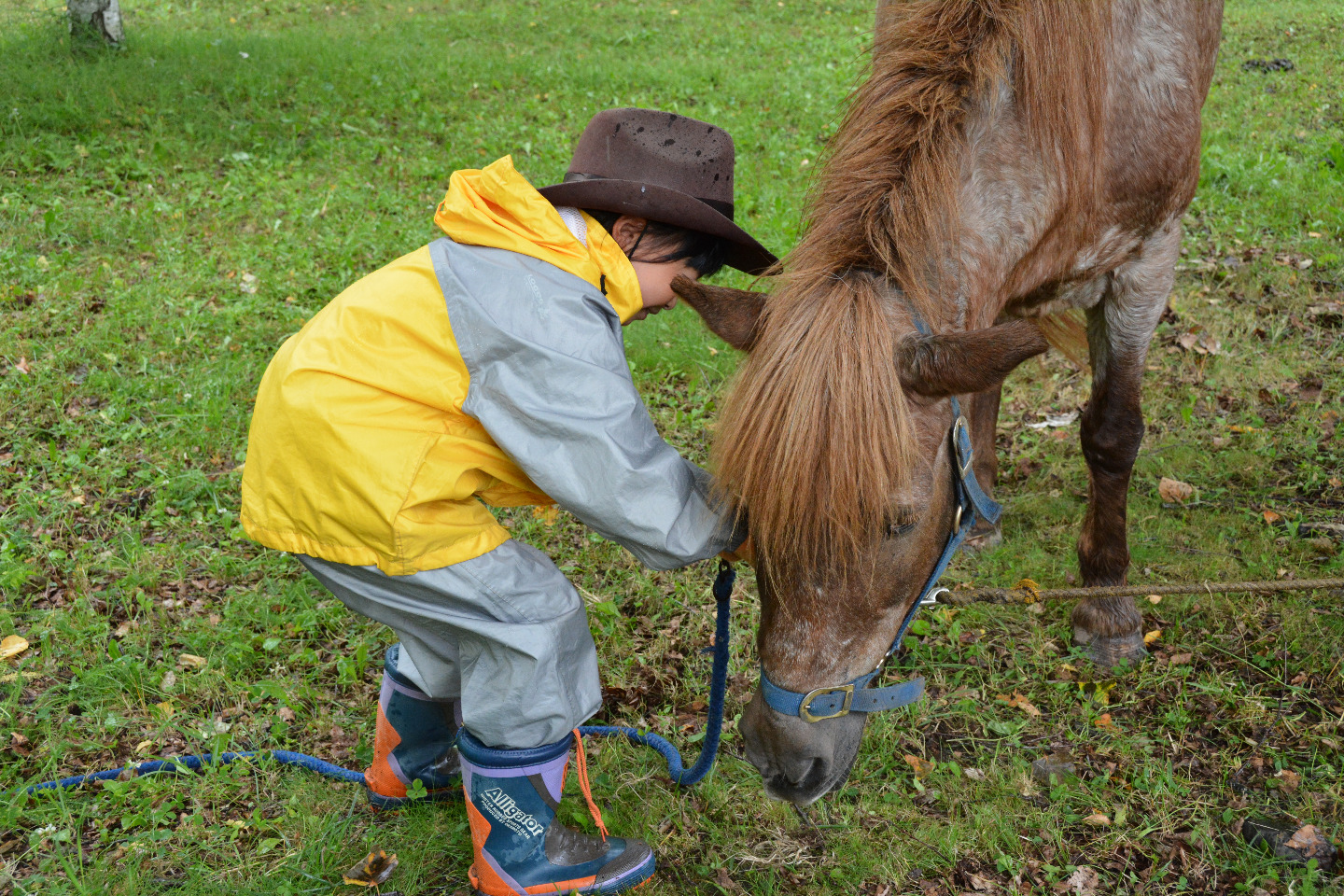 写真：馬とのふれあい