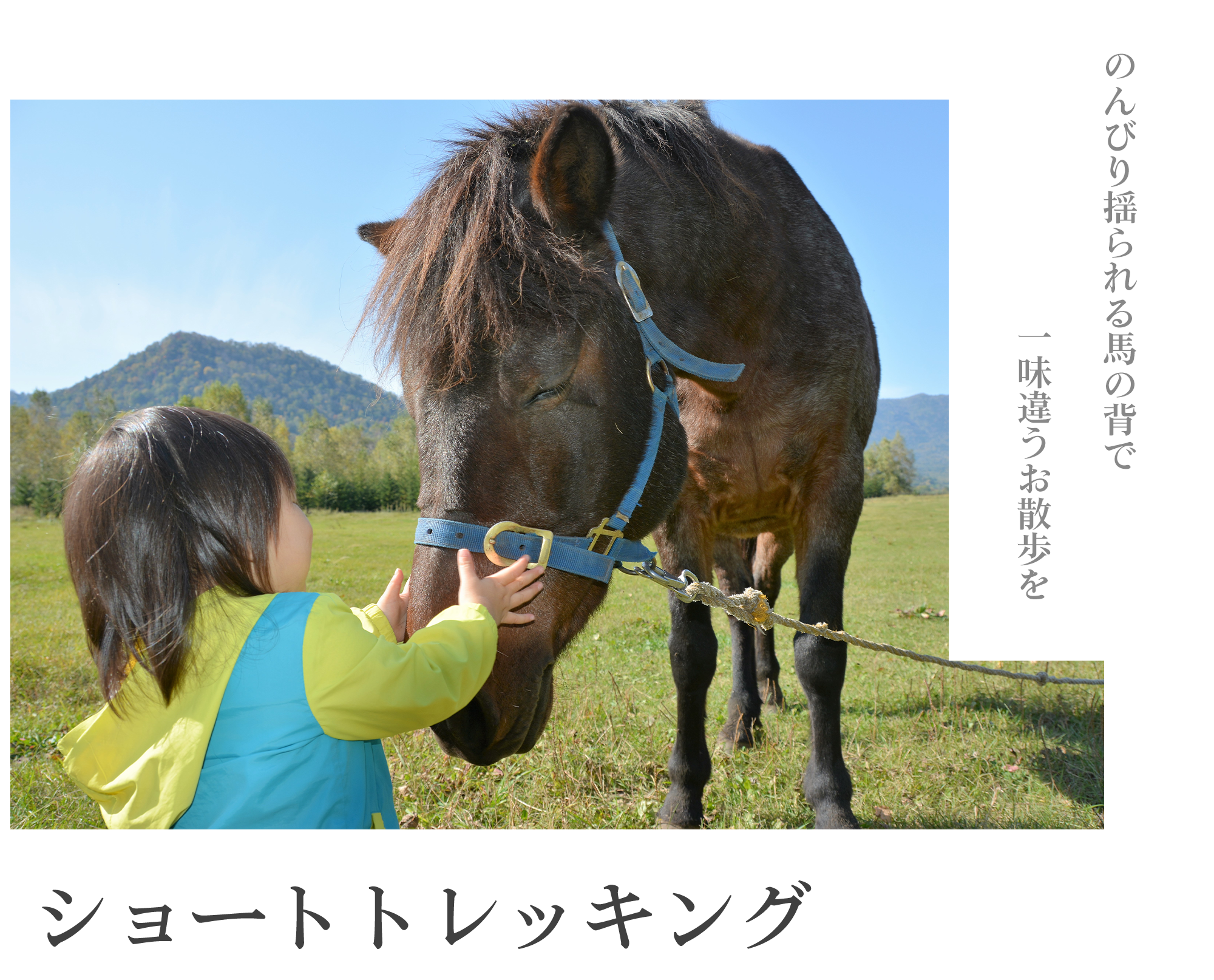 写真：馬と子ども　ショートトレッキング
