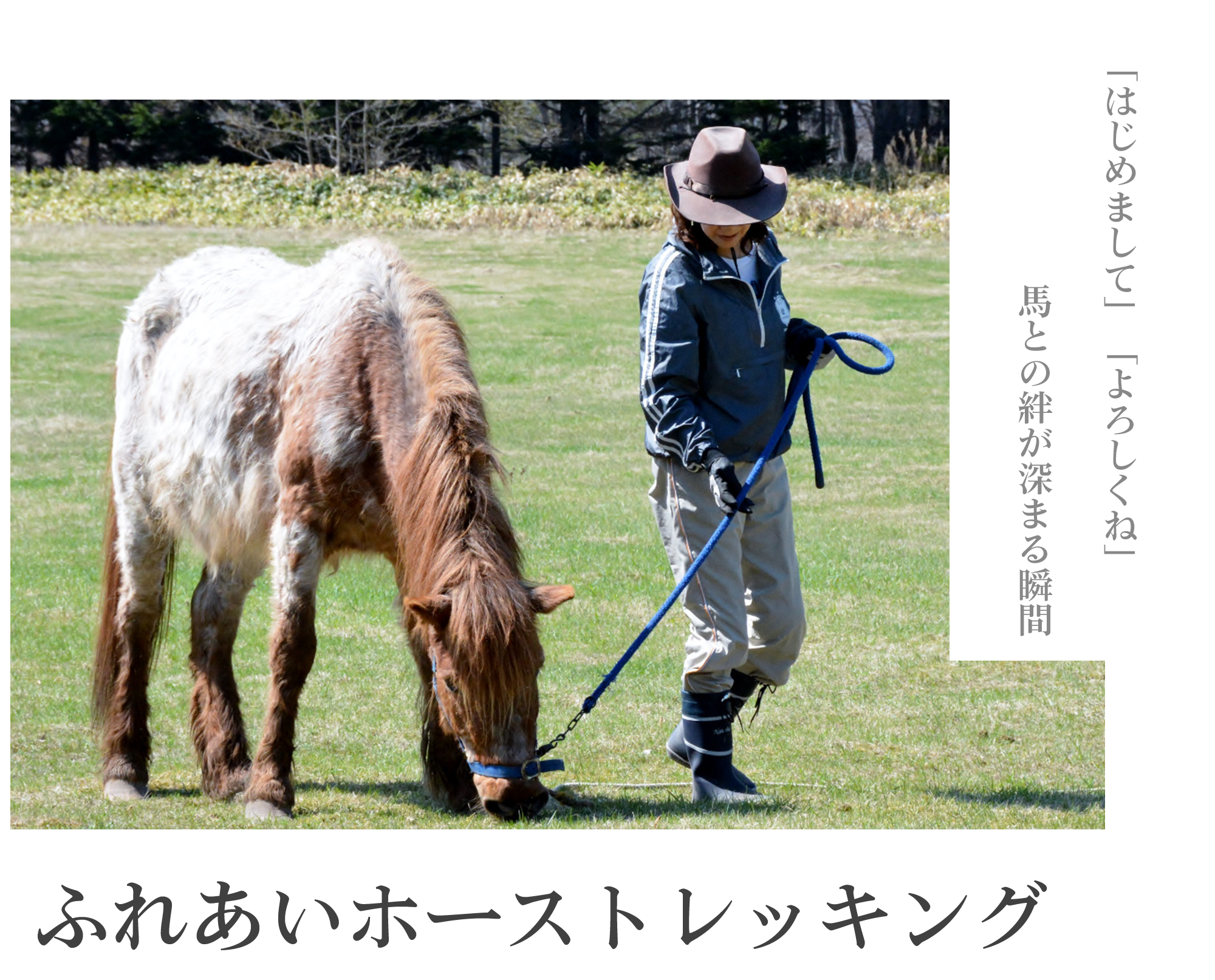 写真：ふれあいホーストレッキング　馬のイメージ