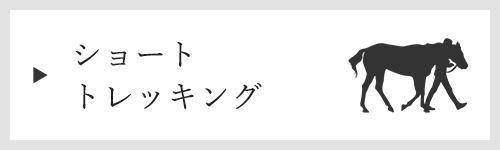 バナー：ショートトレッキング