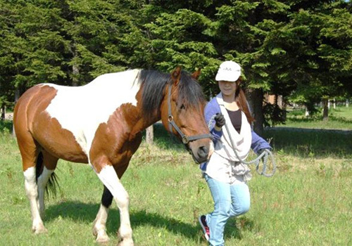 写真：乗馬